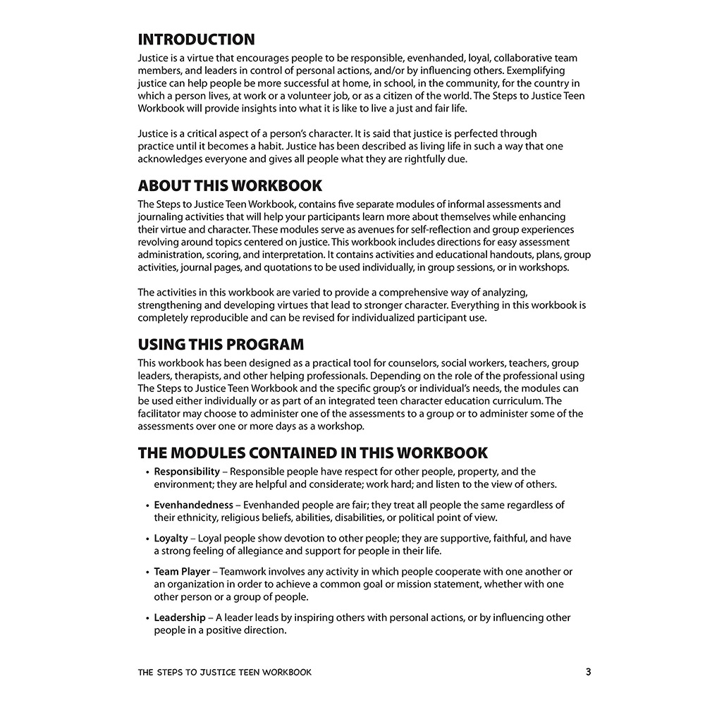 The Steps to Justice   Teen Workbook